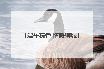 端午粽香 情暖狮城