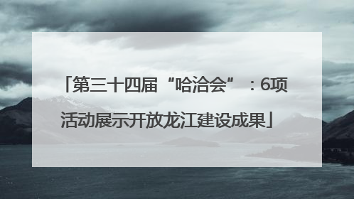 第三十四届“哈洽会”：6项活动展示开放龙江建设成果