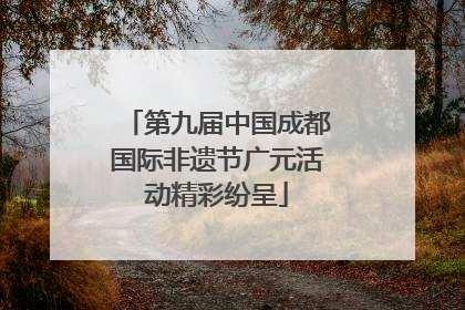 第九届中国成都国际非遗节广元活动精彩纷呈