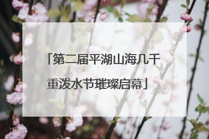 第二届平湖山海几千重泼水节璀璨启幕
