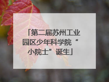 第二届苏州工业园区少年科学院“小院士”诞生