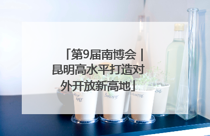 第9届南博会｜昆明高水平打造对外开放新高地
