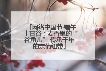 网络中国节·端午丨甘谷：麦香里的“谷角儿” 传承千年的亲情纽带