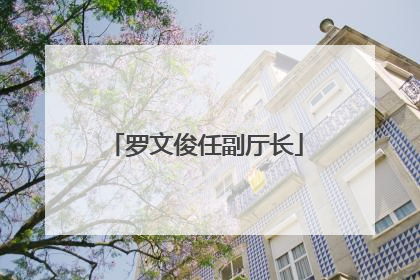 罗文俊任副厅长