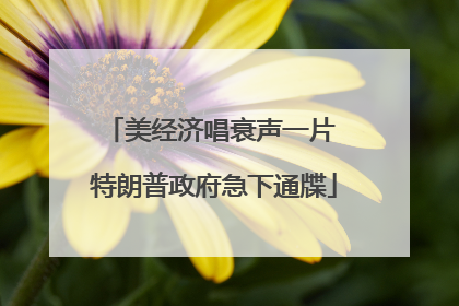 美经济唱衰声一片 特朗普政府急下通牒