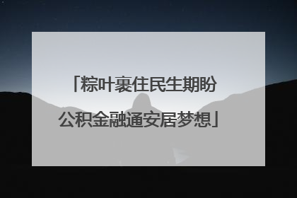 粽叶裹住民生期盼 公积金融通安居梦想