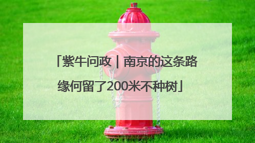 紫牛问政｜南京的这条路缘何留了200米不种树