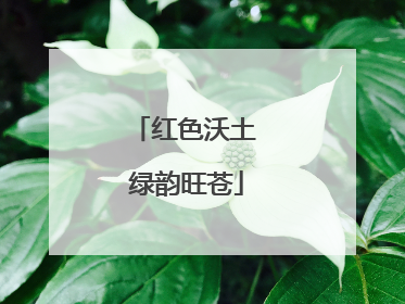 红色沃土 绿韵旺苍