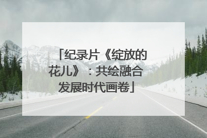 纪录片《绽放的花儿》：共绘融合发展时代画卷