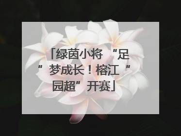 绿茵小将 “足”梦成长！榕江“园超”开赛