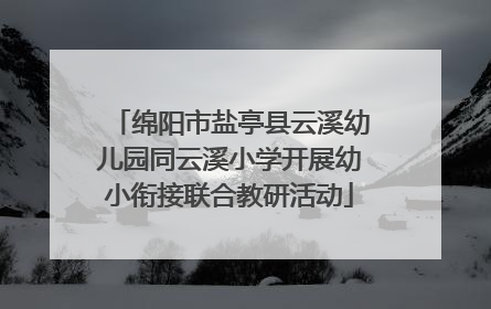 绵阳市盐亭县云溪幼儿园同云溪小学开展幼小衔接联合教研活动