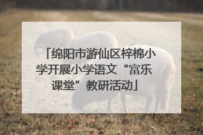 绵阳市游仙区梓棉小学开展小学语文“富乐课堂”教研活动