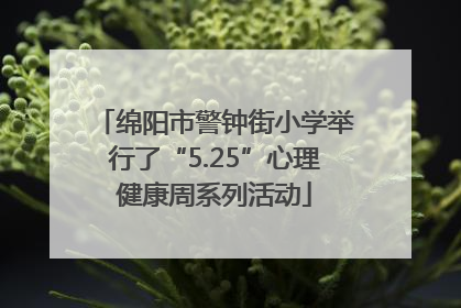 绵阳市警钟街小学举行了“5.25”心理健康周系列活动