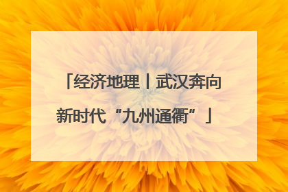 经济地理丨武汉奔向新时代“九州通衢”