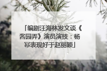 编剧汪海林发文谈《酱园弄》演员演技：杨幂表现好于赵丽颖