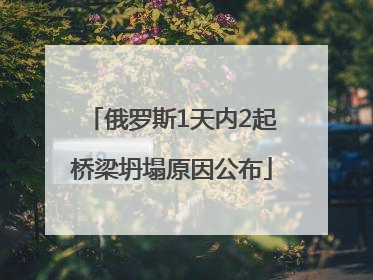 俄罗斯1天内2起桥梁坍塌原因公布