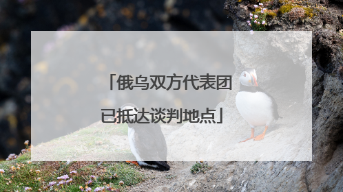 俄乌双方代表团已抵达谈判地点