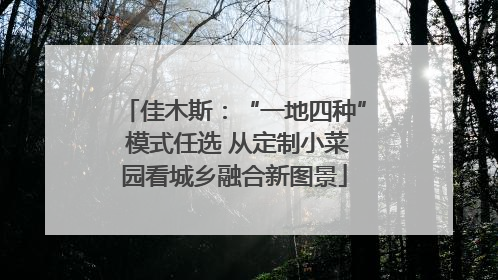 佳木斯：“一地四种” 模式任选 从定制小菜园看城乡融合新图景