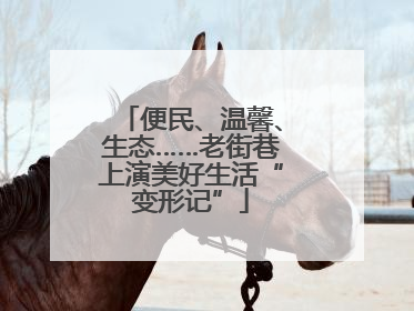 便民、温馨、生态……老街巷上演美好生活“变形记”