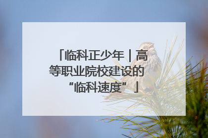 临科正少年｜高等职业院校建设的“临科速度”