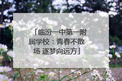 临汾一中第一附属学校：青春不散场 逐梦向远方