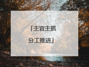 主官主抓 分工推进