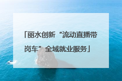 丽水创新“流动直播带岗车”全域就业服务