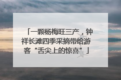 一颗杨梅旺三产，钟祥长滩四季采摘带给游客“舌尖上的惊喜”
