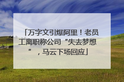 万字文引爆阿里！老员工离职称公司“失去梦想”，马云下场回应