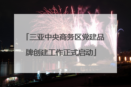三亚中央商务区党建品牌创建工作正式启动