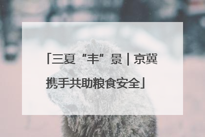 三夏“丰”景｜京冀携手共助粮食安全