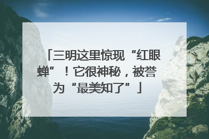 三明这里惊现“红眼蝉”！它很神秘，被誉为“最美知了”