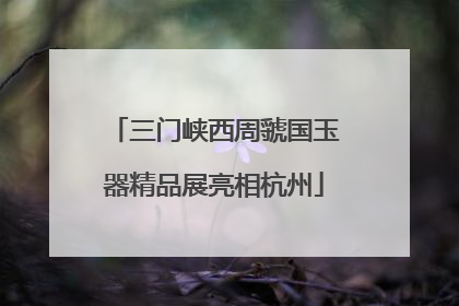 三门峡西周虢国玉器精品展亮相杭州