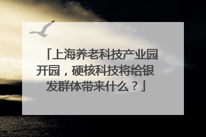 上海养老科技产业园开园，硬核科技将给银发群体带来什么？