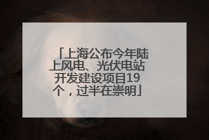 上海公布今年陆上风电、光伏电站开发建设项目19个，过半在崇明