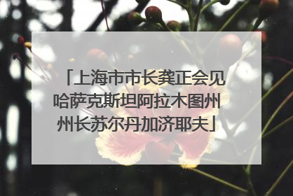 上海市市长龚正会见哈萨克斯坦阿拉木图州州长苏尔丹加济耶夫