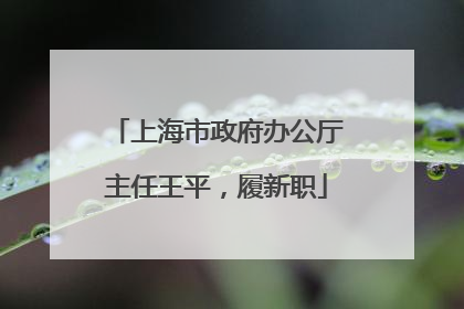 上海市政府办公厅主任王平，履新职