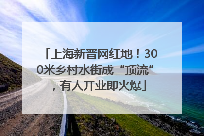 上海新晋网红地！300米乡村水街成“顶流”，有人开业即火爆