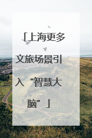 上海更多文旅场景引入“智慧大脑”