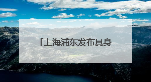 上海浦东发布具身智能产业支持16条政策：单个项目支持额度最高可达亿级