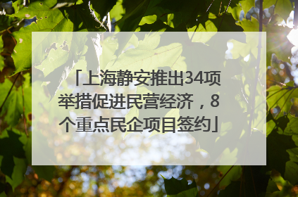 上海静安推出34项举措促进民营经济，8个重点民企项目签约