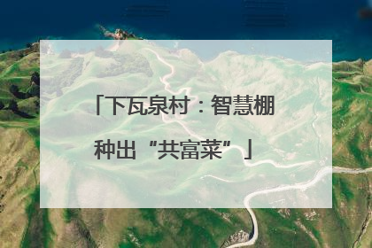 下瓦泉村：智慧棚种出“共富菜”