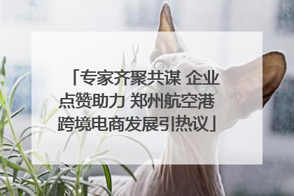 专家齐聚共谋 企业点赞助力 郑州航空港跨境电商发展引热议