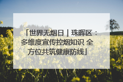 世界无烟日｜珠晖区：多维度宣传控烟知识 全方位共筑健康防线