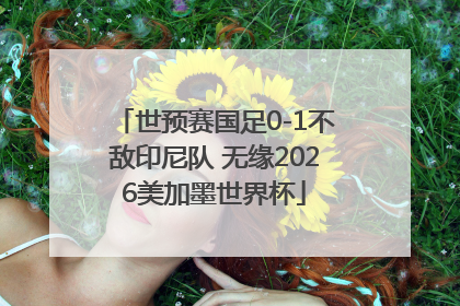 世预赛国足0-1不敌印尼队 无缘2026美加墨世界杯