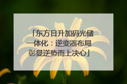东方日升加码光储一体化：逆变器布局彰显逆势而上决心