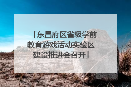 东昌府区省级学前教育游戏活动实验区建设推进会召开