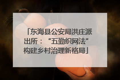 东海县公安局洪庄派出所：“五勤织网法”构建乡村治理新格局