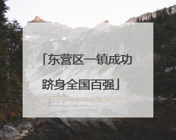 东营区一镇成功跻身全国百强