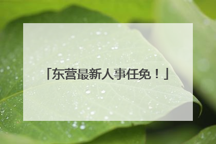 东营最新人事任免！